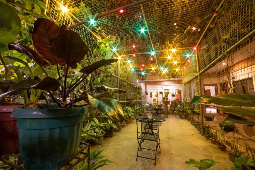 Casanas Suites photo 2